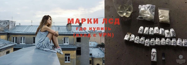 спиды Бородино