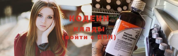 молекула духа Бронницы