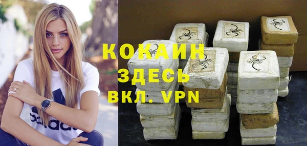 молекула духа Бронницы
