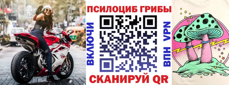 Псилоцибиновые грибы Cubensis  Купить закладки  Данков 
